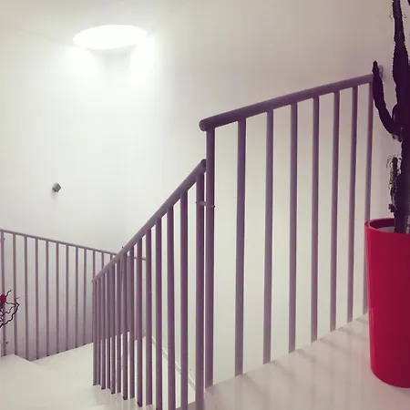Home40 新萨尔沃